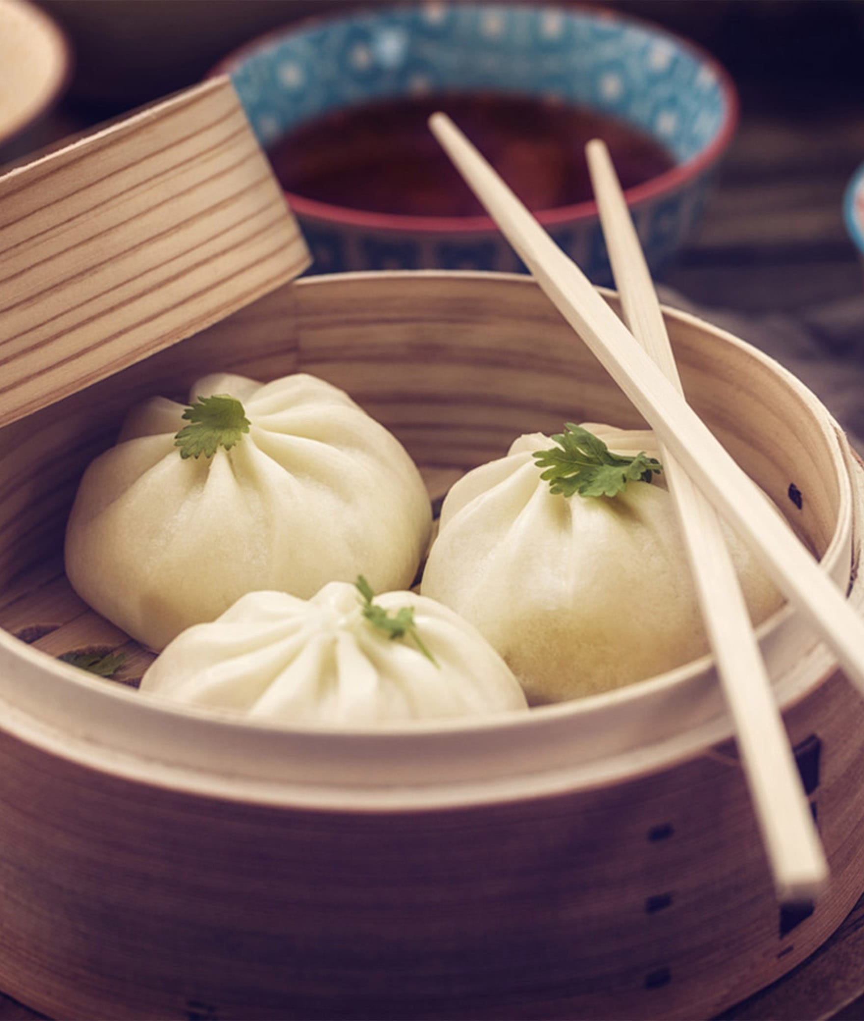 Momos Peddler - Logo
