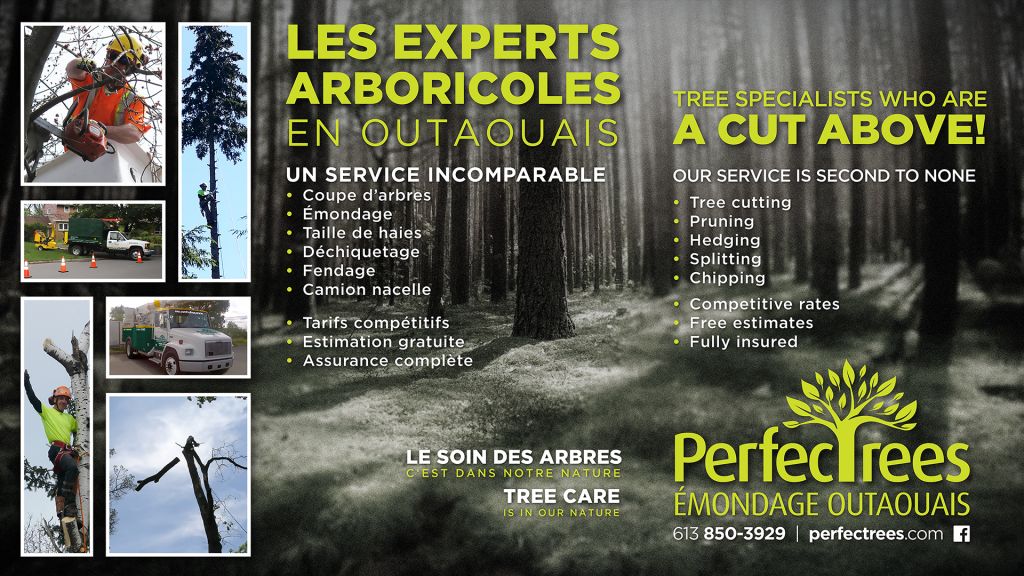 Émondage Outaouais - Perfectrees - Cover photo