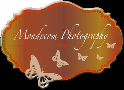 Mondecom Inc. - Logo