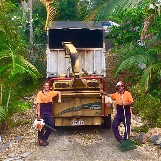 Monkey Business Tree Services - Cover photo