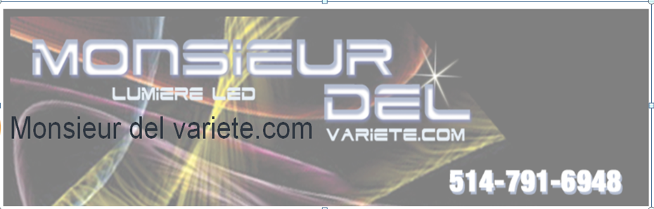 Monsieur DEL Variete - Logo