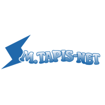 Monsieur Tapis-Net - Logo