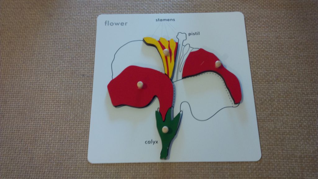 Montessori House of Learning - Cover photo