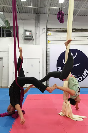 Moon Moo Life - Cover photo