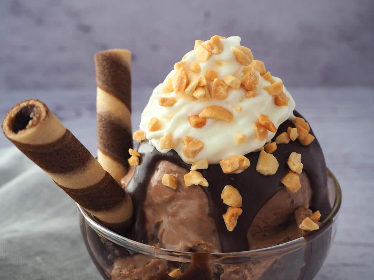 MORII HANDCRAFTED ICECREAMS - Logo