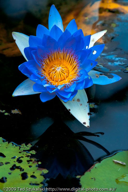 Mosaic Massage Therapy - Cover photo