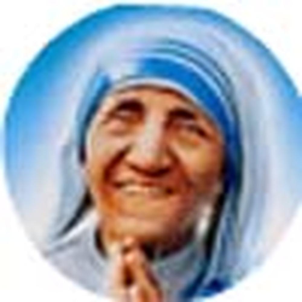 Mother Theresa Educational Institutions (MTEI) - Logo
