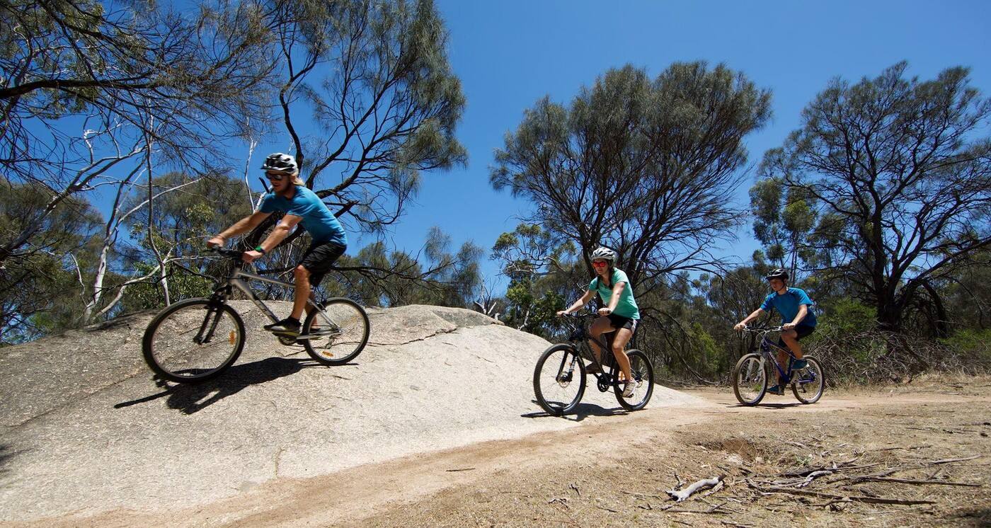 Mountain Bike Adventure Tours - Logo