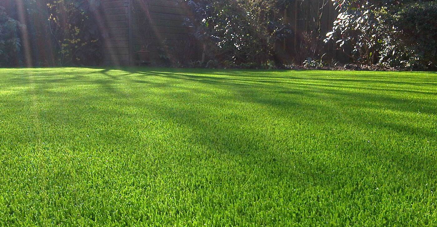 Mowed Up - Cover photo