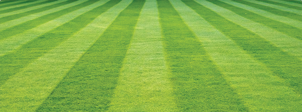 Mow & Mulch Lawn & Garden Maintenance - Logo