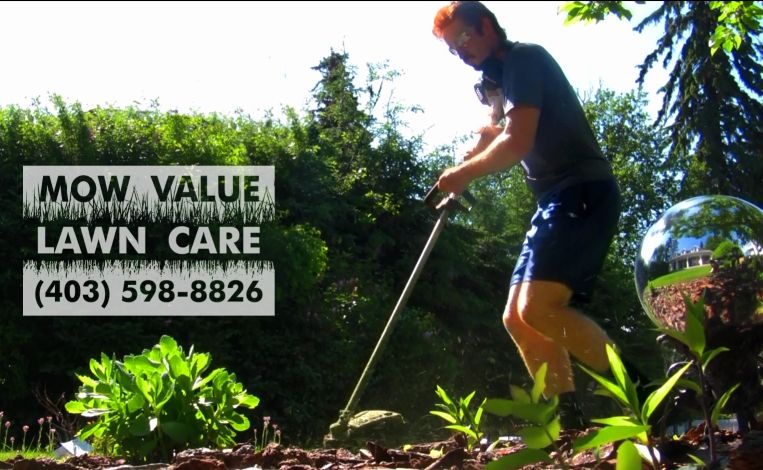 MOW VALUE LAWN CARE - Logo