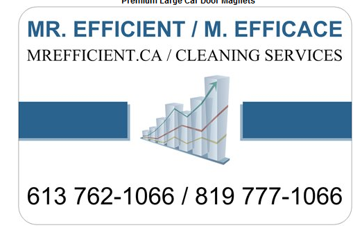 Mr. Efficient / M. EFFICACE - Logo
