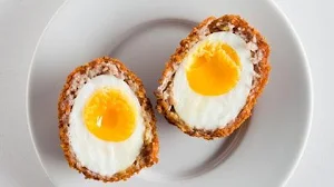 Mr. Egg - Logo