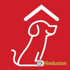 Mr N Mrs Pet - Logo