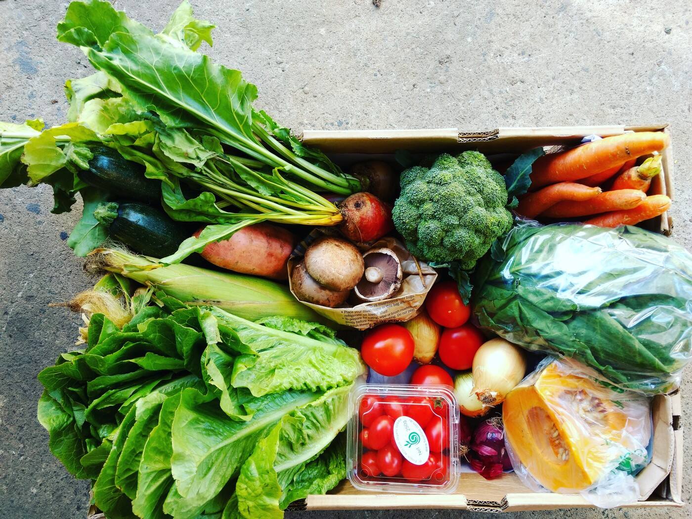 Mr Organic - Cover photo