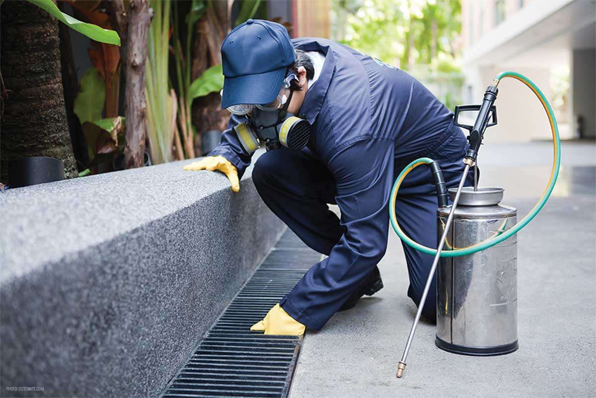 Mr Pesticide - Cover photo