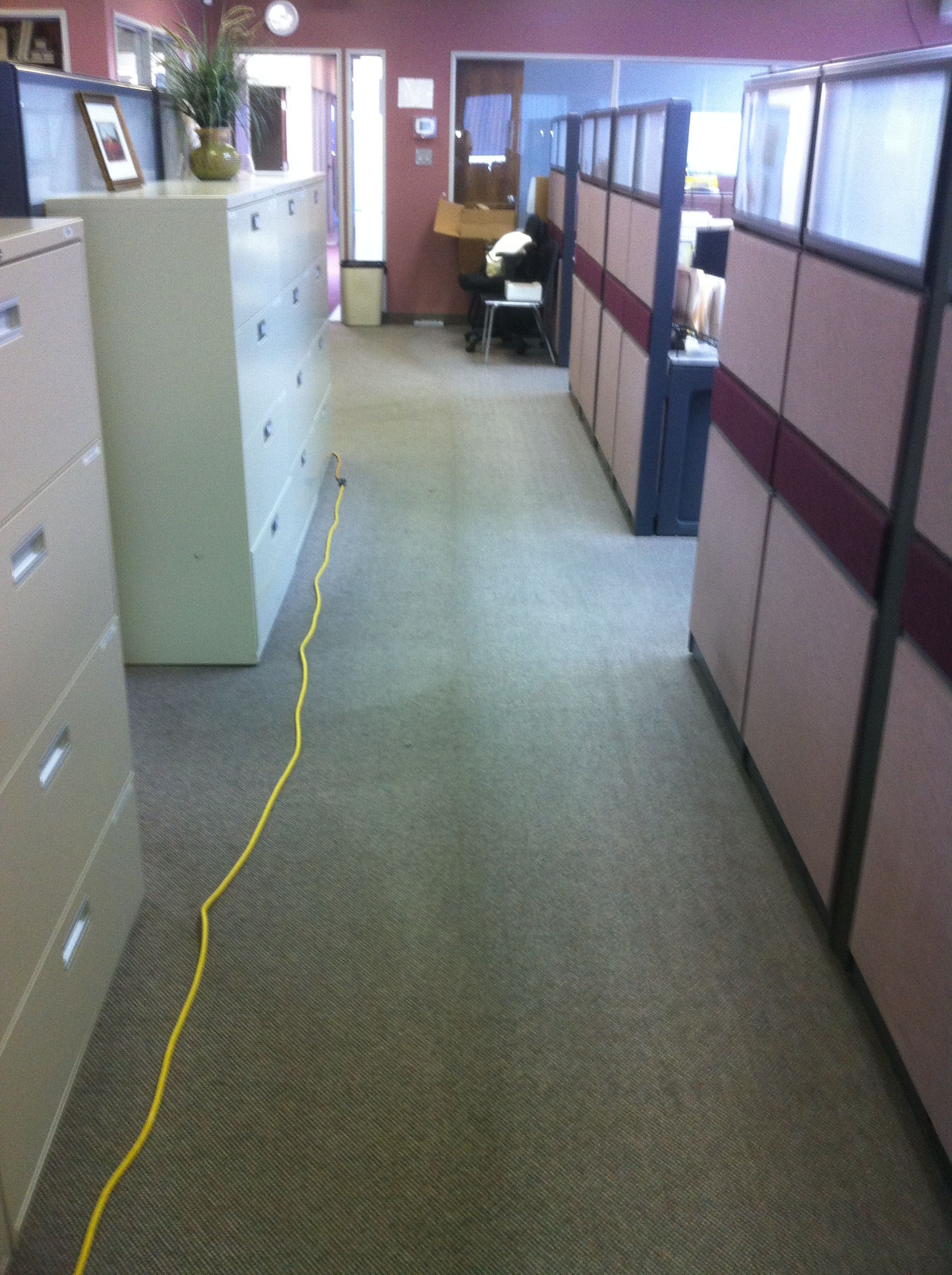 Mr. Steamer, The Carpet &a; Upholstery Cleaner - Cover photo