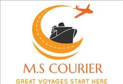 Ms Courier 403496 - Logo