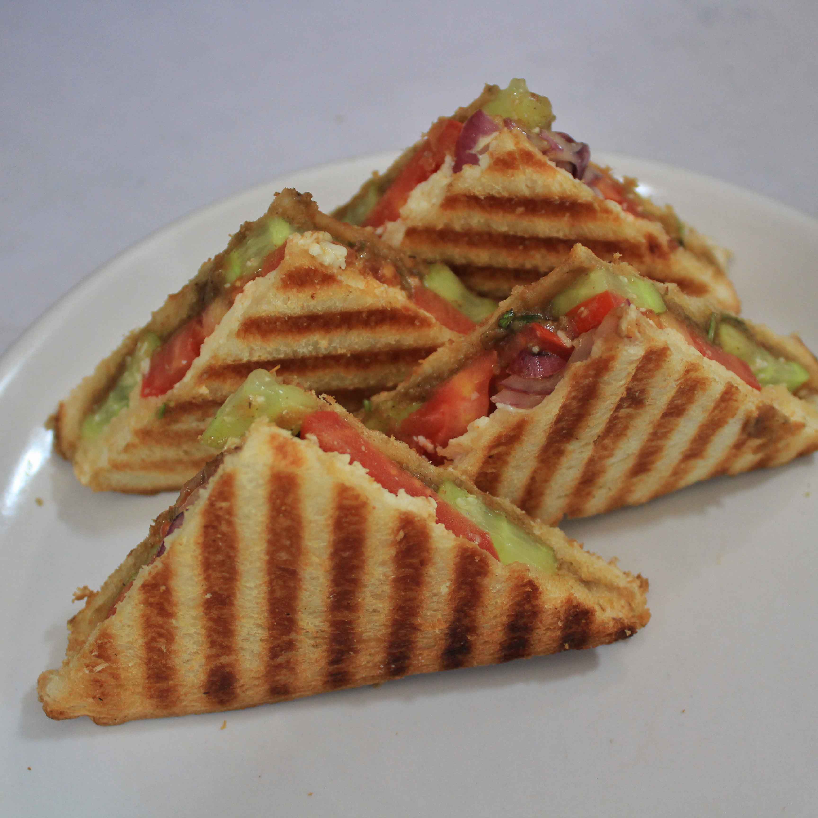 M/S Dilsa Food (Silk city Burger) - Logo