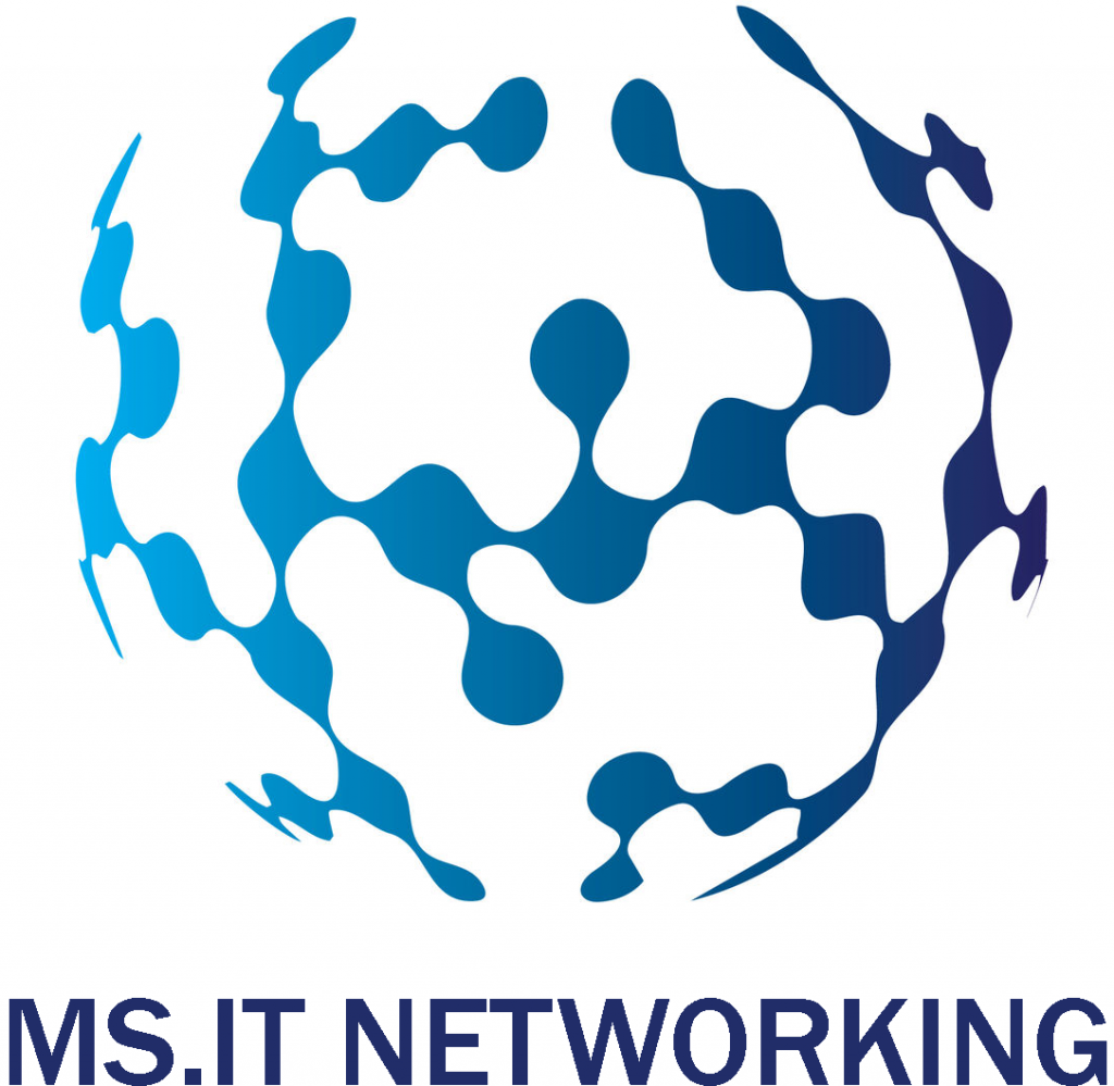 MS.IT Networking - Logo