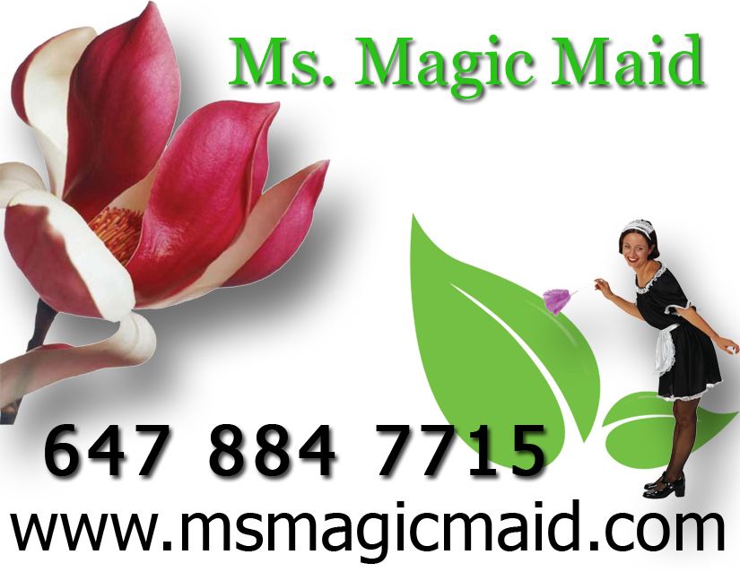 Ms Magic Maid - Logo