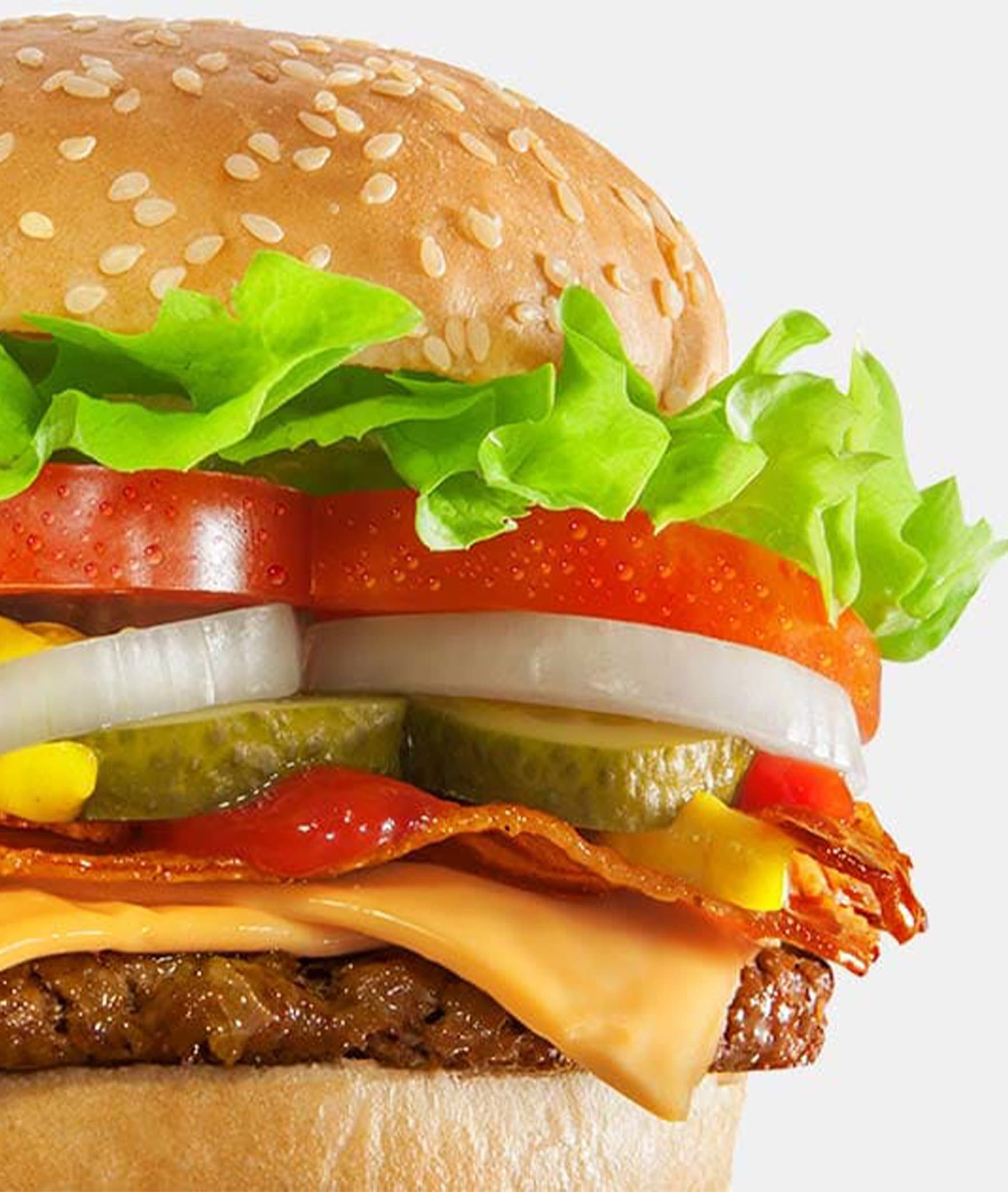 Mtech Burger Wali - Logo
