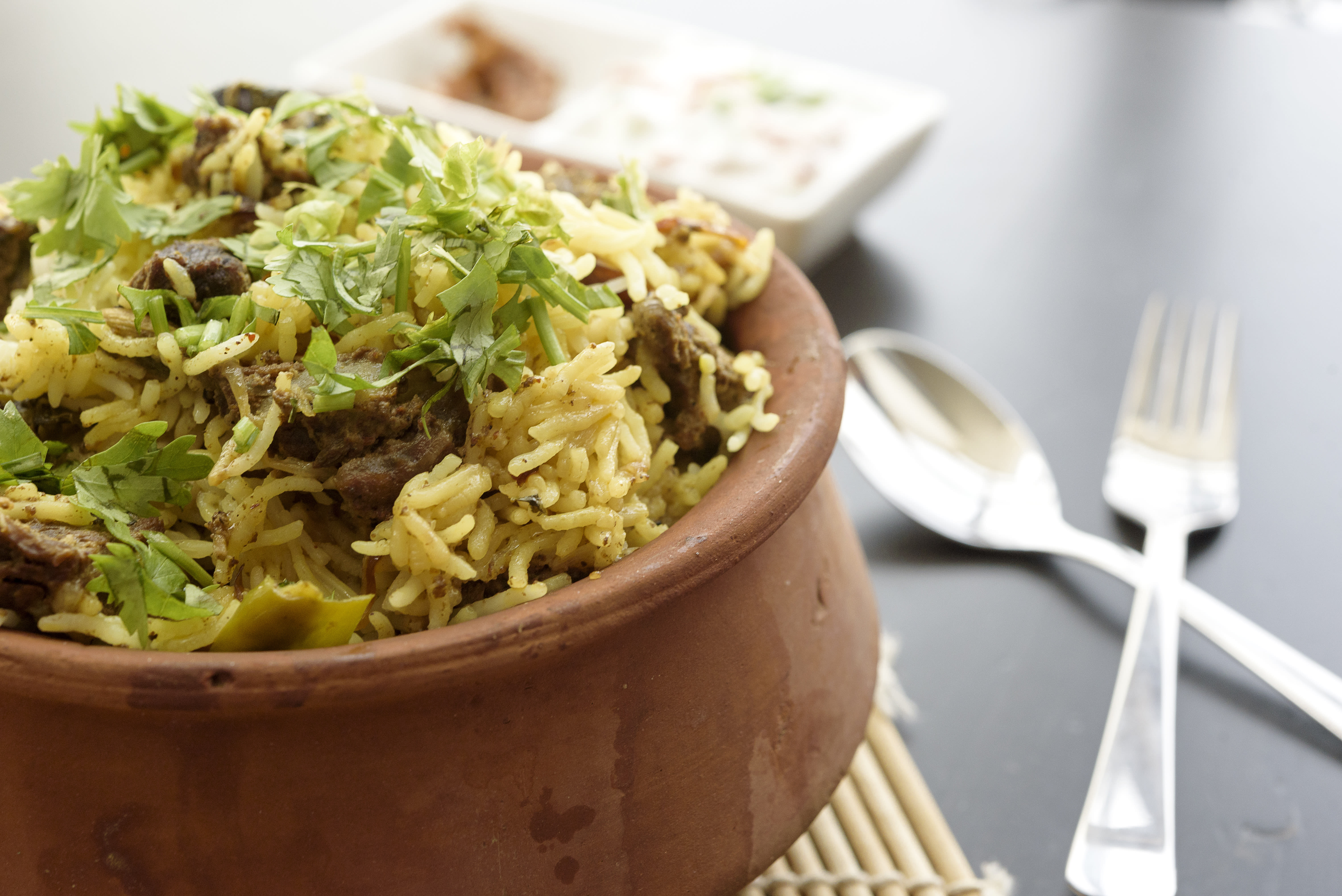 Mughal Biryani Palace - Logo