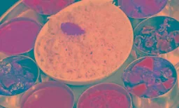 Mummy Tiffin Service - Logo