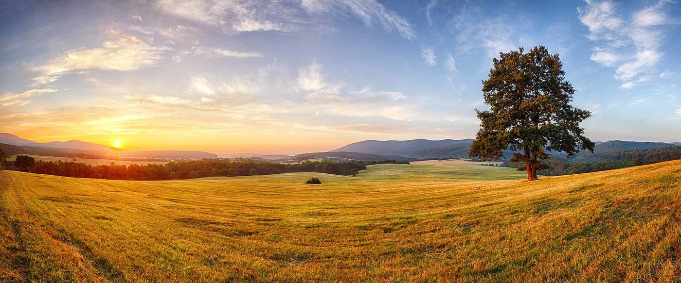 Murray Valley Beef Producers - Cover photo