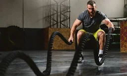 Muscle Factory Gym - Logo