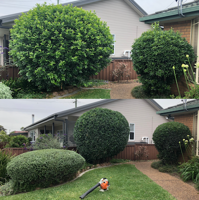 Muscle Mowing & Yard Care - Logo