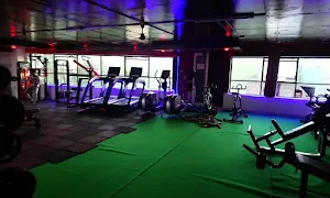 Muscular Mastiff Unisex Gym - Logo