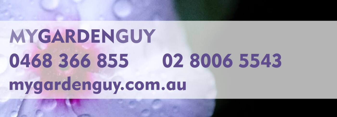 My Garden Guy - Logo