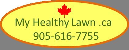 My Healthy Lawn .ca - Logo