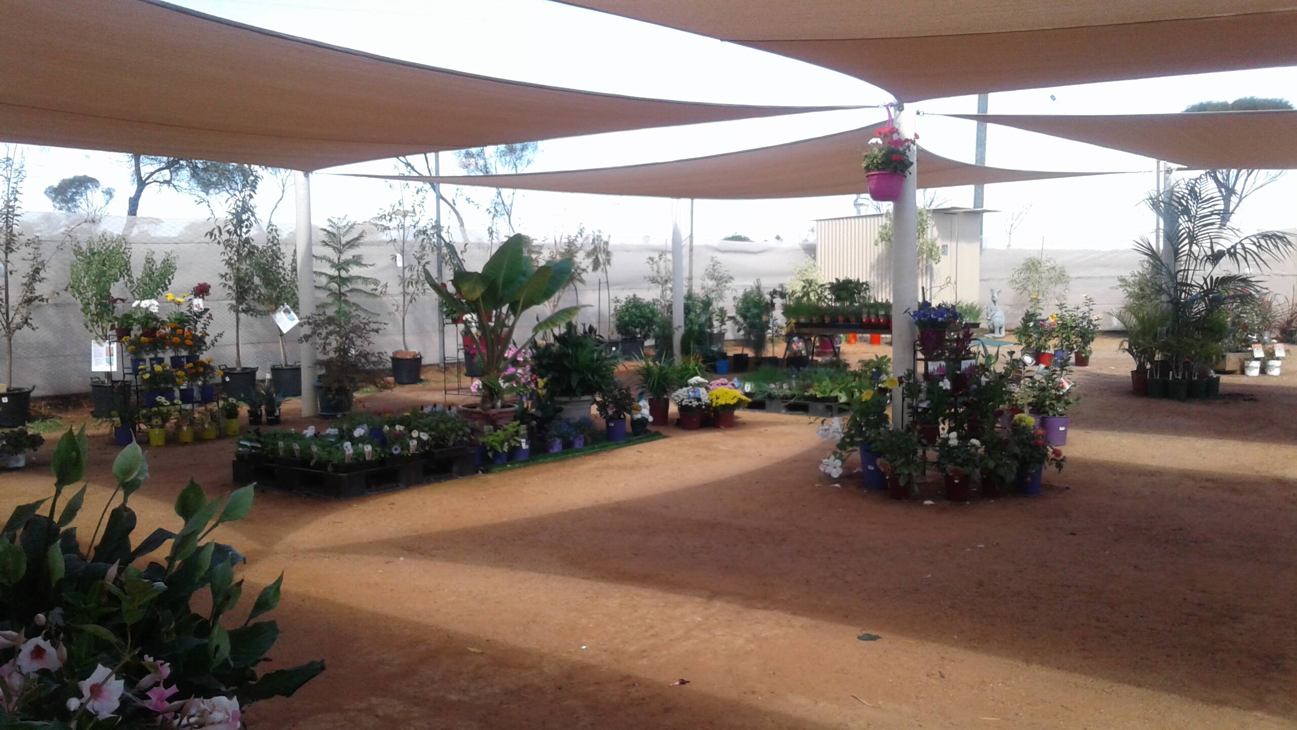 Myola Nursery - Logo