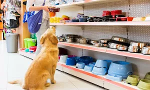 My Pet Shop - Cover photo