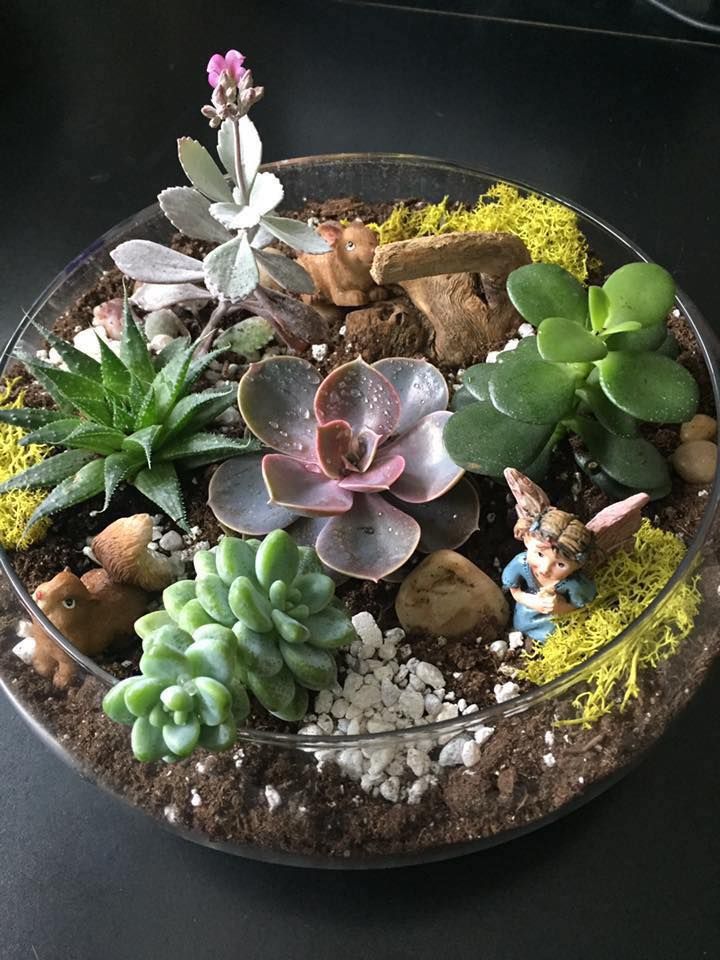 My Secret Garden - Cover photo