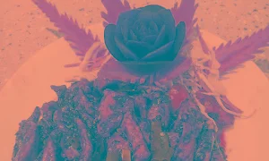Naaz Restaurant - Cover photo
