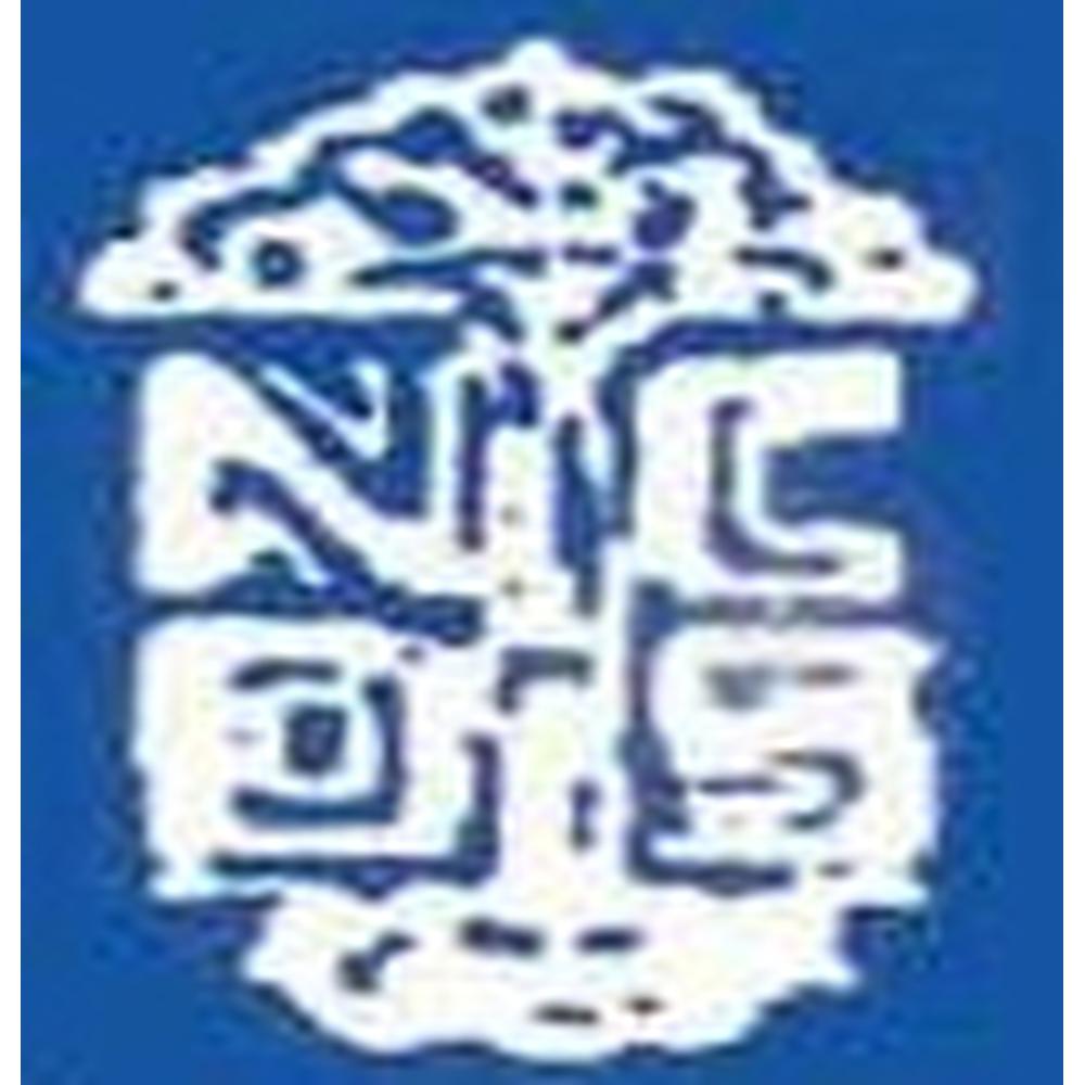 Nabakrishna Choudhury Centre for Development Studies (NCCDS) - Logo