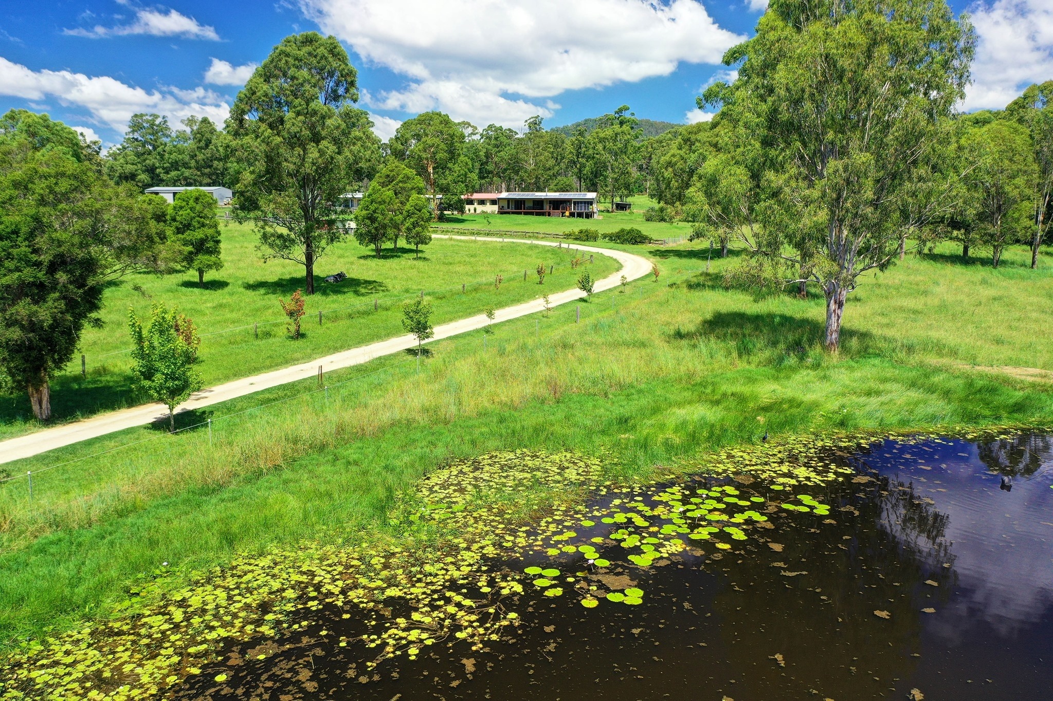 Nabiac Real Estate - Cover photo