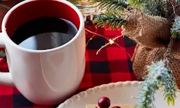 Nagori Simnani - Logo