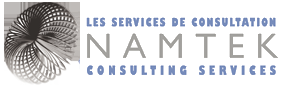 Namtek Consulting Services - Logo