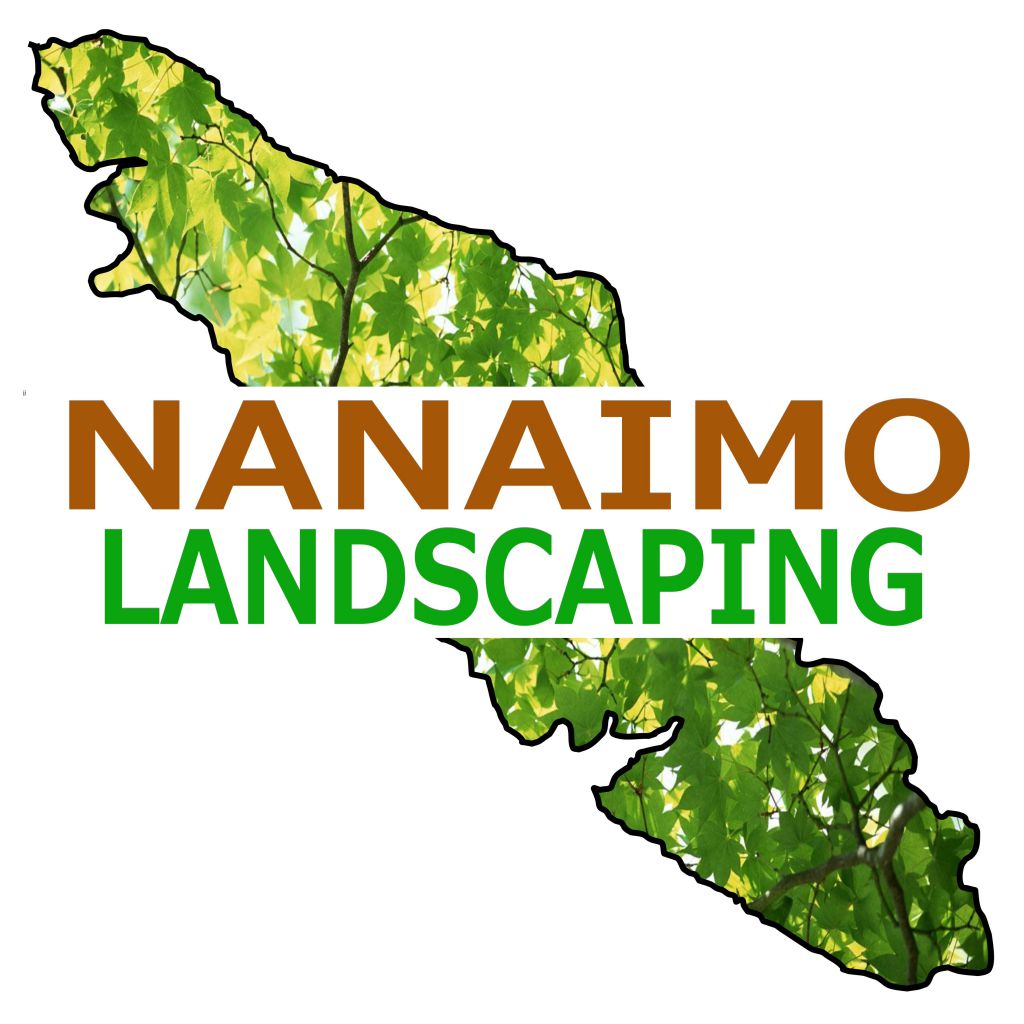 Nana - Logo