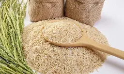 Nandeeshwara RICE Traders - Logo