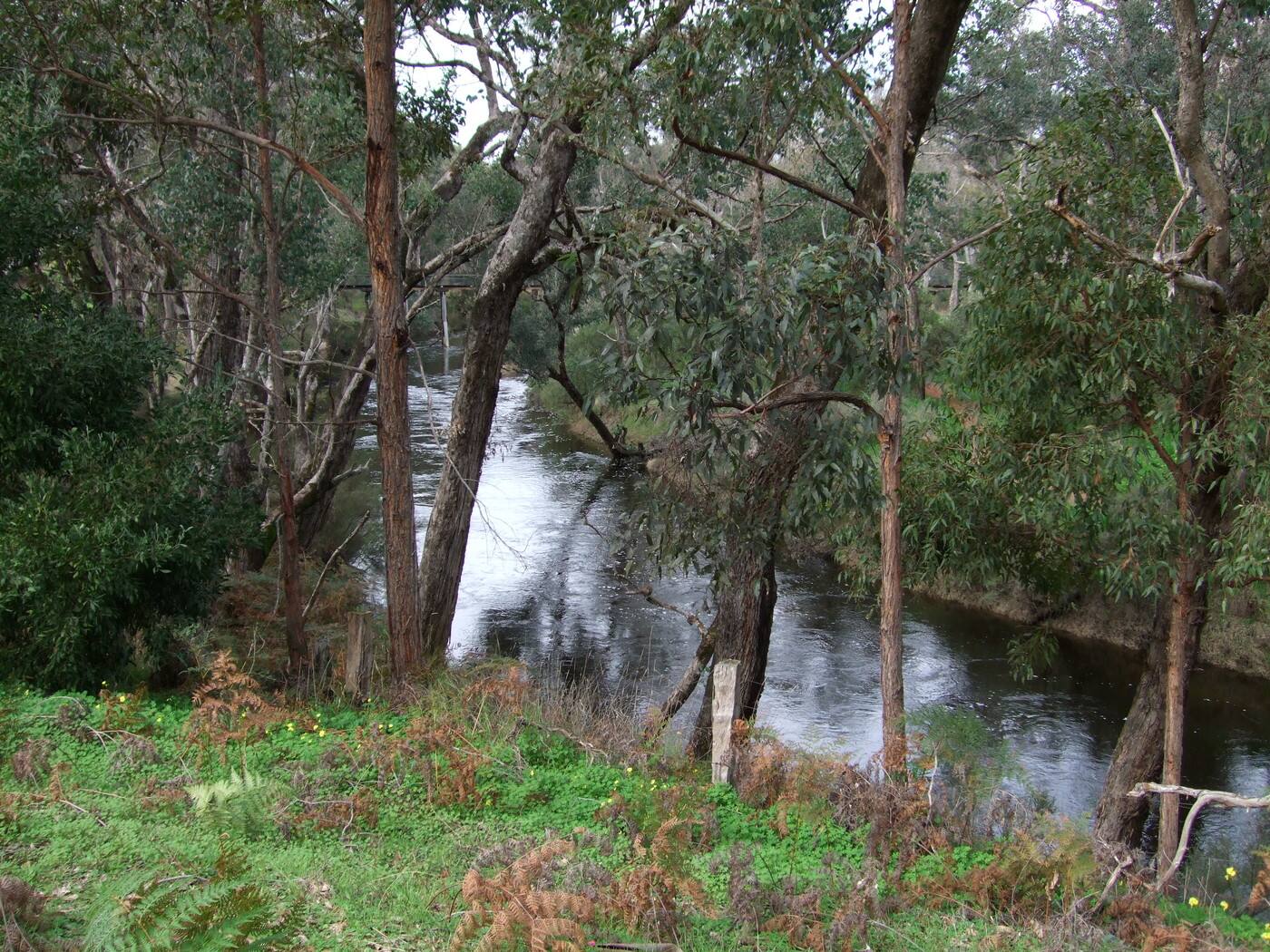 Nannup Riverview Cottage - Cover photo