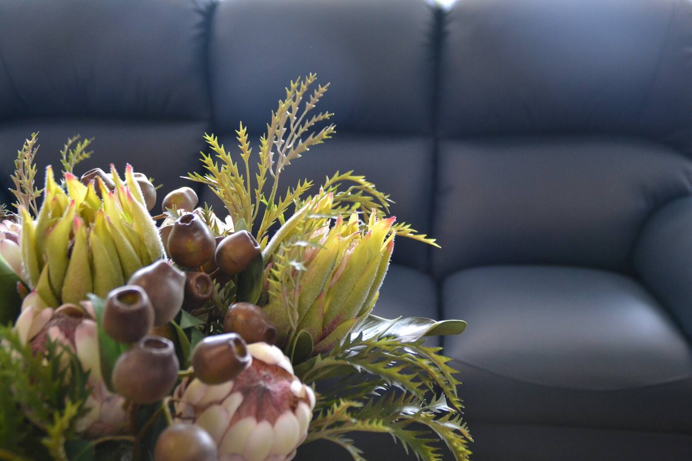 Naracoorte Homemakers - Cover photo