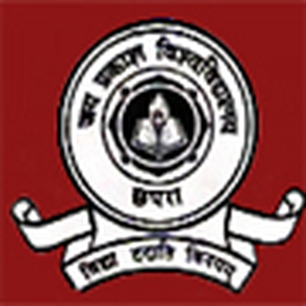 Narayan College - Logo