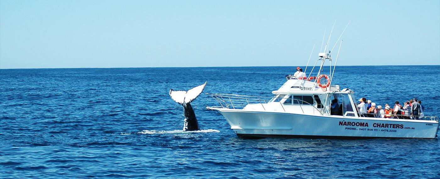 Narooma Charters - Cover photo