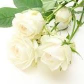 Narrabri Funerals - Logo