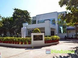 Narsinhbhai Patel Dental College and Hospital - Logo